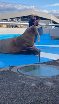 大分マリーンパレス水族館 「うみたまご」に投稿された画像（2021/12/18）