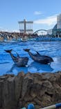 名古屋港水族館に投稿された画像（2021/12/18）