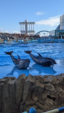 名古屋港水族館に投稿された画像（2021/12/18）