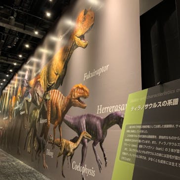 ティラノサウルス展 ～Ｔ. rex 驚異の肉食恐竜～（名古屋市科学館）に投稿された画像（2021/12/18）