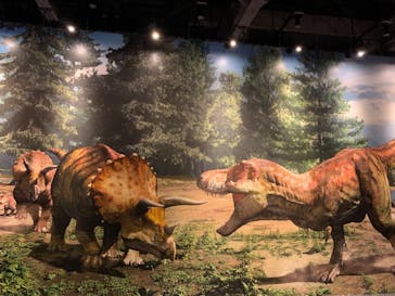 ティラノサウルス展 ～Ｔ. rex 驚異の肉食恐竜～（名古屋市科学館）に投稿された画像（2021/12/18）