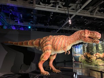 ティラノサウルス展 ～Ｔ. rex 驚異の肉食恐竜～（名古屋市科学館）に投稿された画像（2021/12/18）