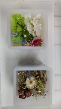 ずこうしつ〜sugamo〜に投稿された画像（2021/12/18）