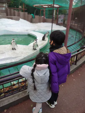 天王寺動物園に投稿された画像（2021/12/18）