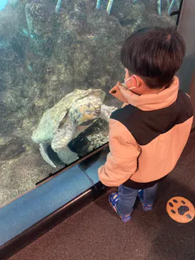 天王寺動物園に投稿された画像（2021/12/18）