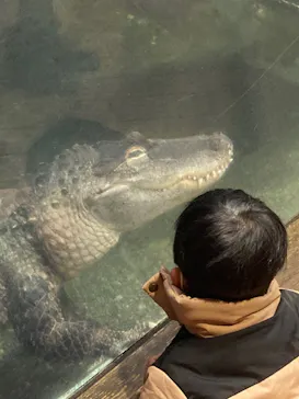 天王寺動物園に投稿された画像（2021/12/18）