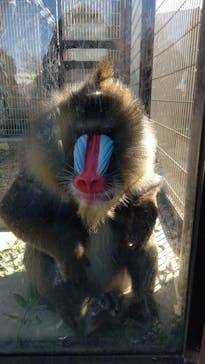 東武動物公園に投稿された画像（2021/12/18）