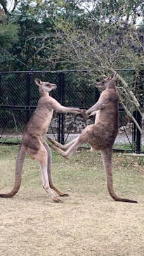 長崎バイオパークに投稿された画像（2021/12/18）