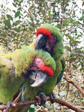 長崎バイオパークに投稿された画像（2021/12/18）