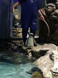 すみだ水族館に投稿された画像（2021/12/18）