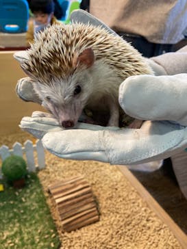 Moff animal cafe iias つくば店に投稿された画像（2021/12/18）