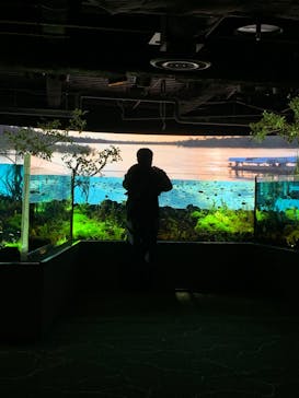 カワスイ 川崎⽔族館に投稿された画像（2021/12/18）