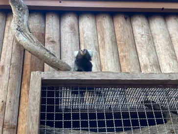 神戸どうぶつ王国に投稿された画像（2021/12/18）