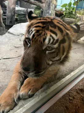 神戸どうぶつ王国に投稿された画像（2021/12/18）