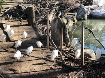 天王寺動物園に投稿された画像（2021/12/18）