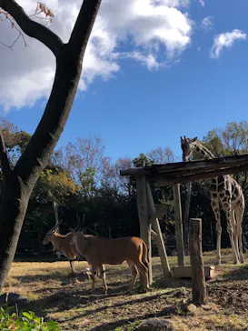 天王寺動物園に投稿された画像（2021/12/18）