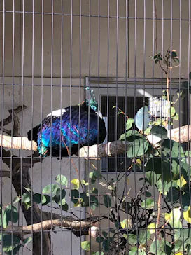 天王寺動物園に投稿された画像（2021/12/18）