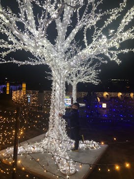 東京メガイルミに投稿された画像（2021/12/18）