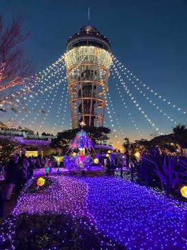 江の島シーキャンドルに投稿された画像（2021/12/18）