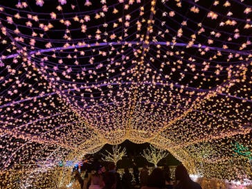 東京メガイルミに投稿された画像（2021/12/18）