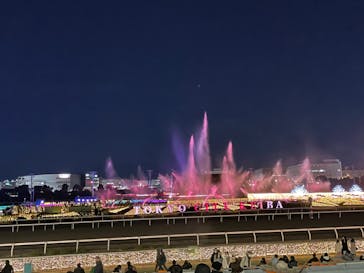 東京メガイルミに投稿された画像（2021/12/18）