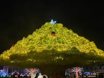 東京メガイルミに投稿された画像（2021/12/18）