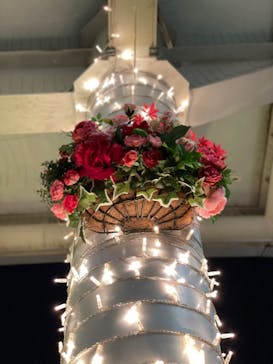 東京メガイルミに投稿された画像（2021/12/18）