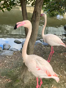 神戸どうぶつ王国に投稿された画像（2021/12/18）