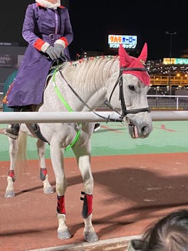 東京メガイルミに投稿された画像（2021/12/18）