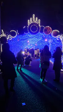 ひらかたパークに投稿された画像（2021/12/18）