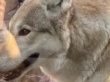 天王寺動物園に投稿された画像（2021/12/18）