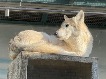 天王寺動物園に投稿された画像（2021/12/18）