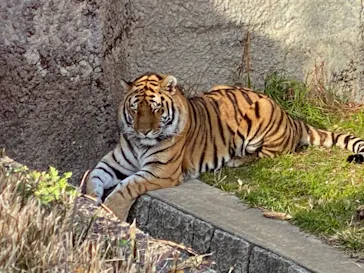 天王寺動物園に投稿された画像（2021/12/18）