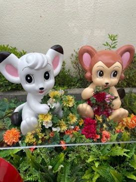 西武園ゆうえんちに投稿された画像（2021/12/18）