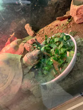 天王寺動物園に投稿された画像（2021/12/18）