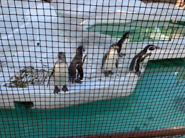 天王寺動物園に投稿された画像（2021/12/18）