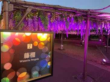 東京メガイルミに投稿された画像（2021/12/18）