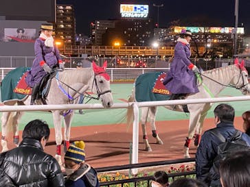 東京メガイルミに投稿された画像（2021/12/18）