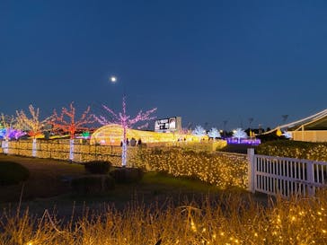 東京メガイルミに投稿された画像（2021/12/18）