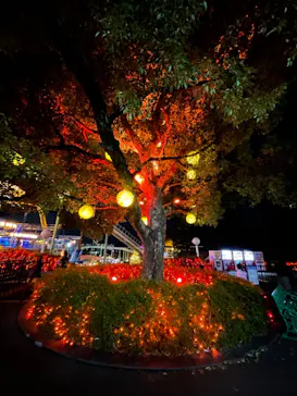 ひらかたパークに投稿された画像（2021/12/18）