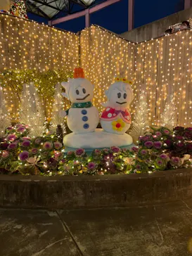 ひらかたパークに投稿された画像（2021/12/18）