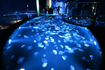 すみだ水族館に投稿された画像（2021/12/18）