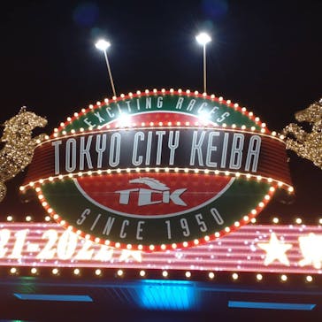 東京メガイルミに投稿された画像（2021/12/18）