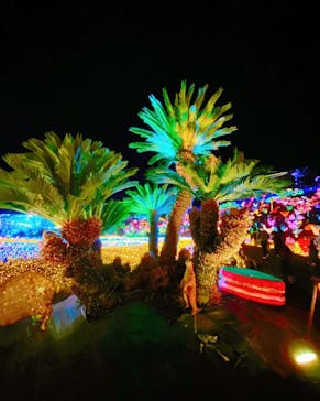 伊豆ぐらんぱる公園に投稿された画像（2021/12/18）