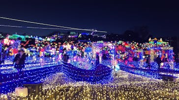 伊豆ぐらんぱる公園に投稿された画像（2021/12/18）