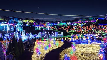 伊豆ぐらんぱる公園に投稿された画像（2021/12/18）