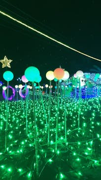 伊豆ぐらんぱる公園に投稿された画像（2021/12/18）