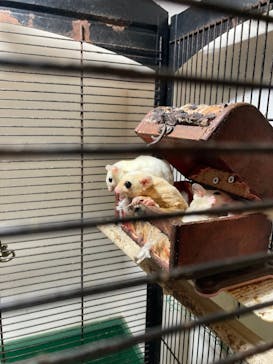 伊豆ぐらんぱる公園に投稿された画像（2021/12/18）