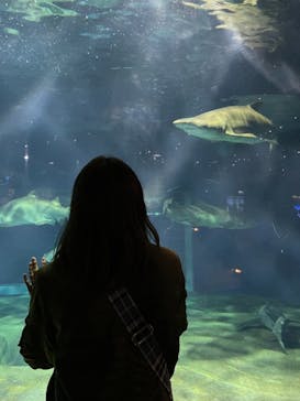 アクアワールド茨城県大洗水族館に投稿された画像（2021/12/18）
