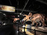 ティラノサウルス展 ～Ｔ. rex 驚異の肉食恐竜～（名古屋市科学館）に投稿された画像（2021/12/18）
